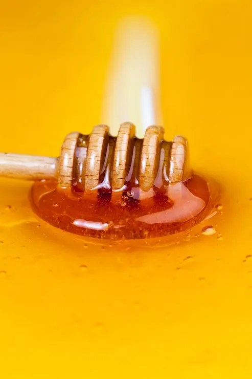Miel de Abeja con Cuchara de Madera